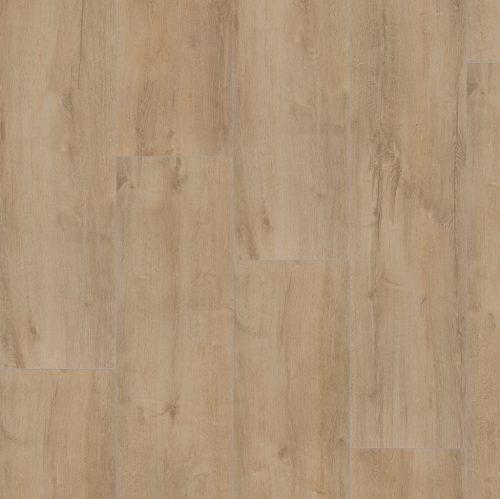 Major Oak Beige