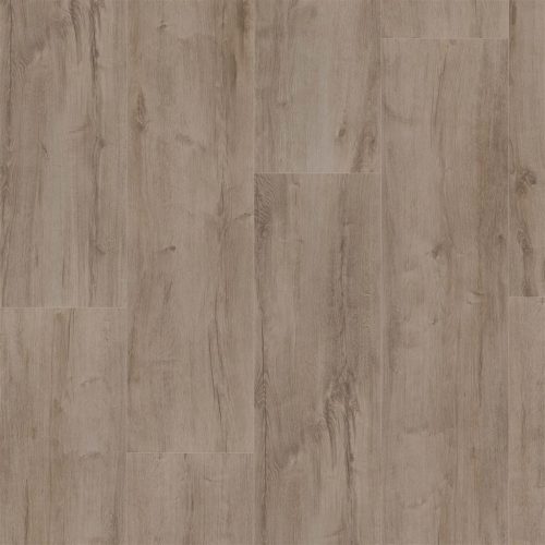 Major Oak Grey